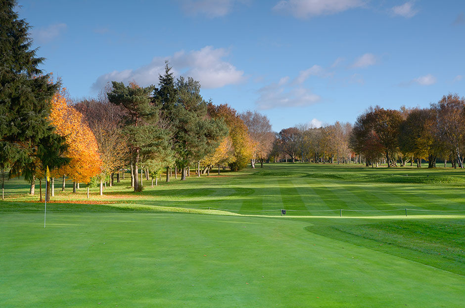 Membership Membership Kingswood Golf & Country Club